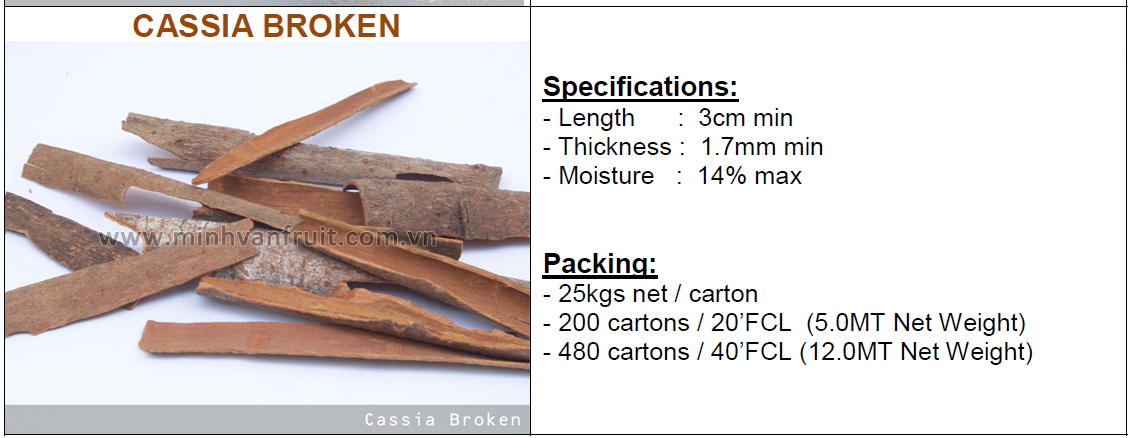 Cassia Broken