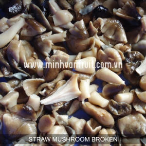 Straw Mushroom in Brine Broken 1