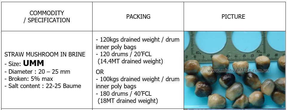 Straw Mushroom in Brine UMM