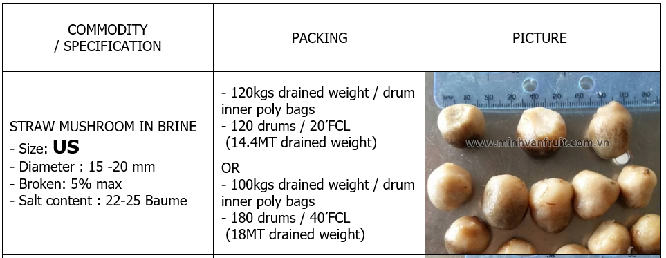 Straw Mushroom in Brine US